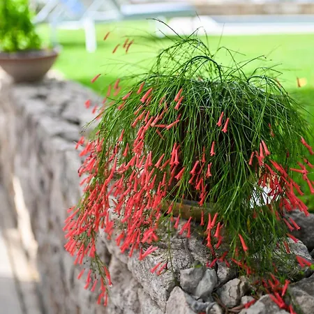 Hresc I Bed & Breakfast Zadar