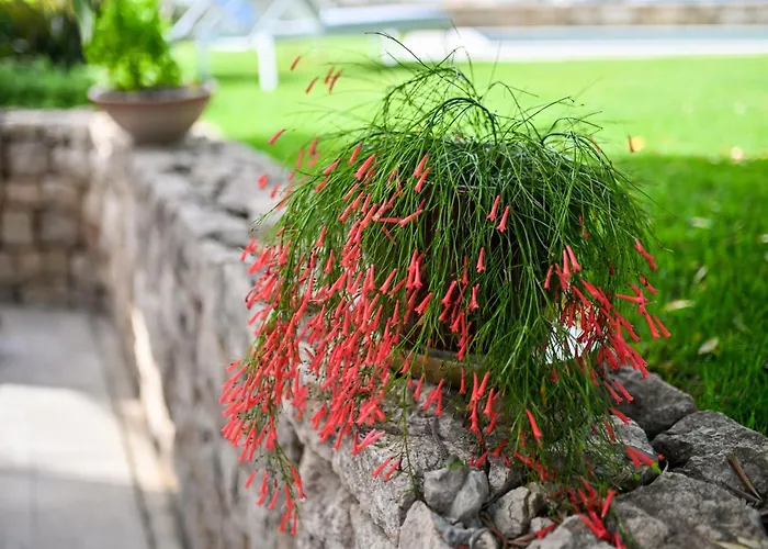 Hresc I Oda ve Kahvaltı Zadar